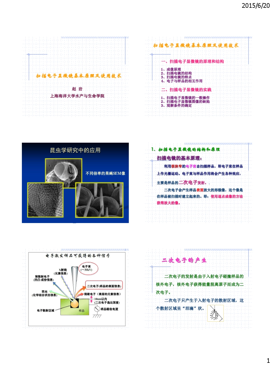 扫描电镜原理及操作_第1页