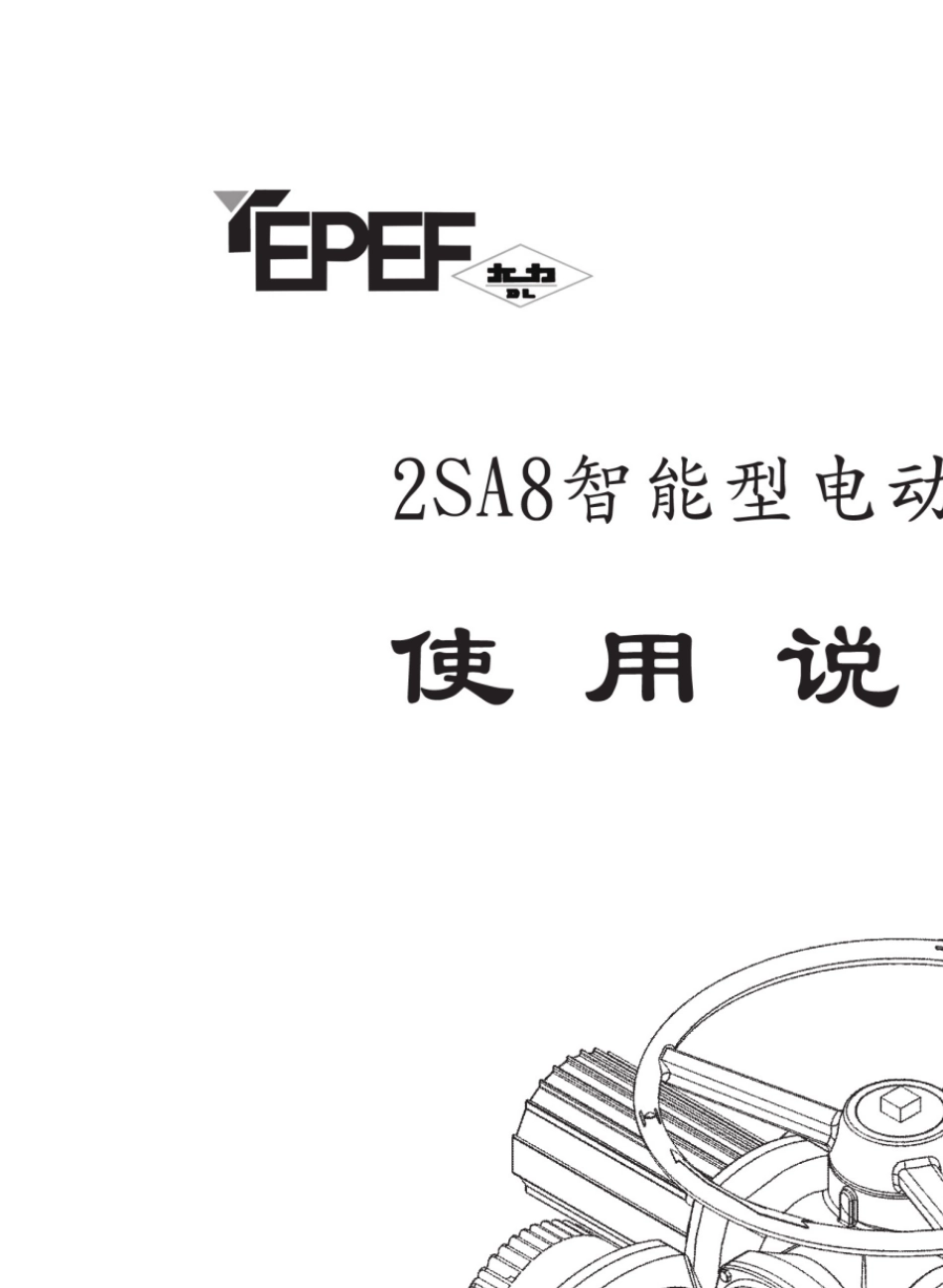 扬修电动头2SA8说明书_第1页