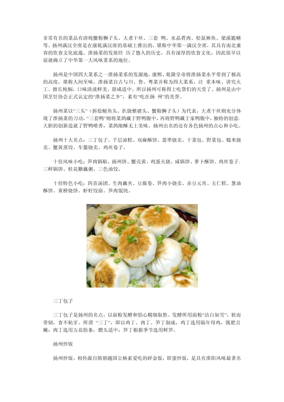 扬州旅游攻略_旅游景点_美食大全_第3页