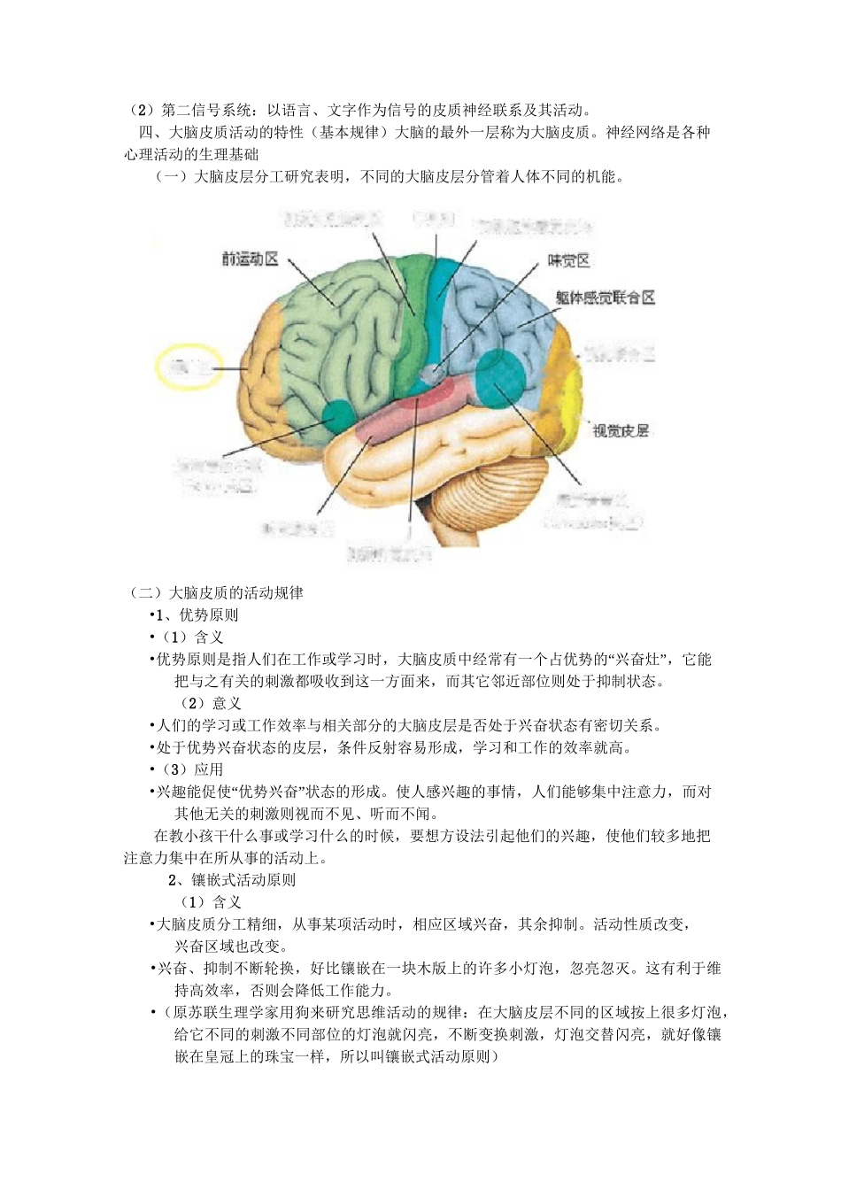 (完整版)学前卫生学——神经系统_第2页