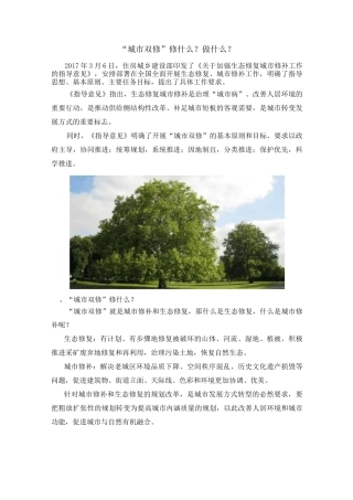 “城市双修”修什么？做什么？
