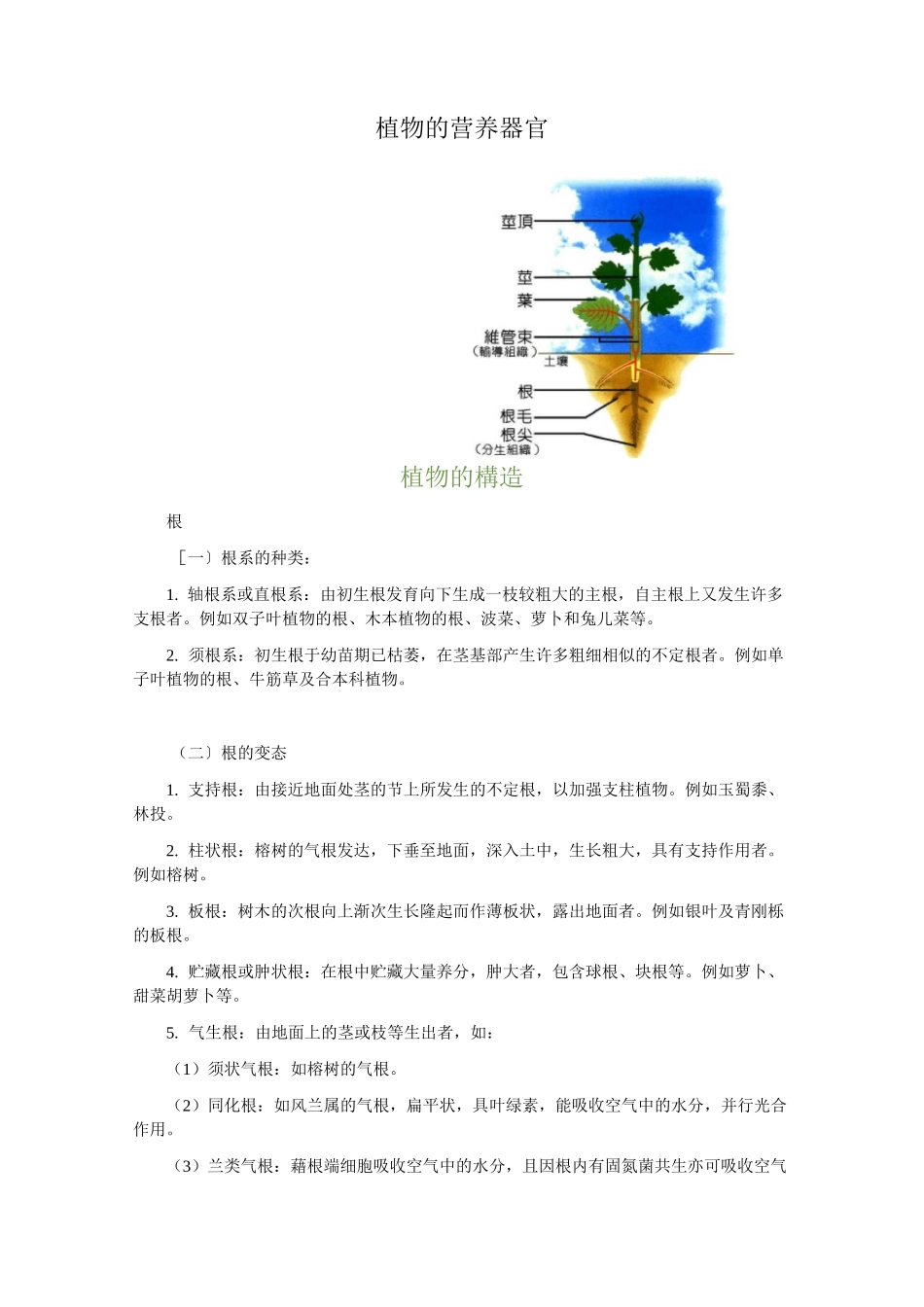 植物的营养器官_第1页