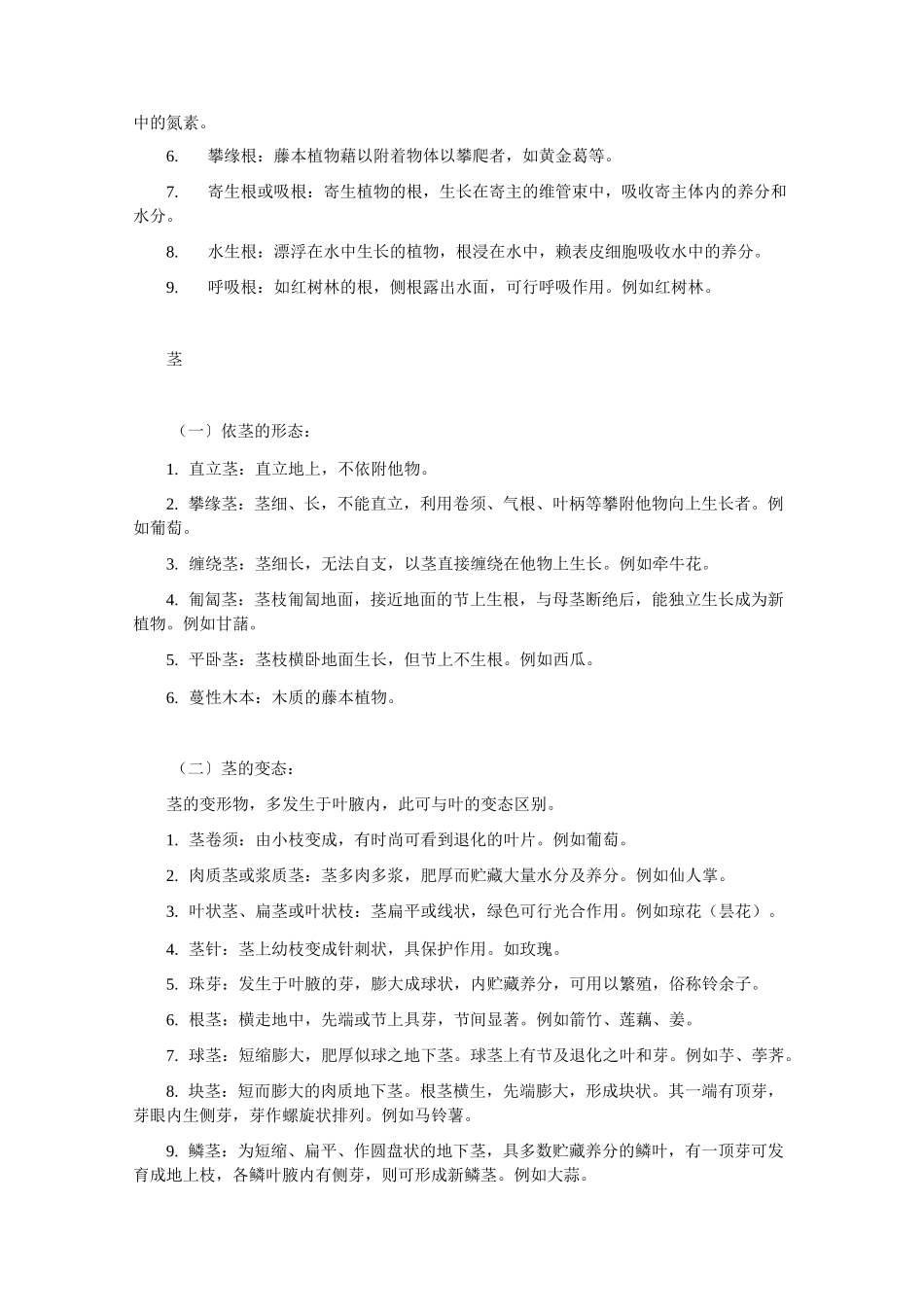植物的营养器官_第2页