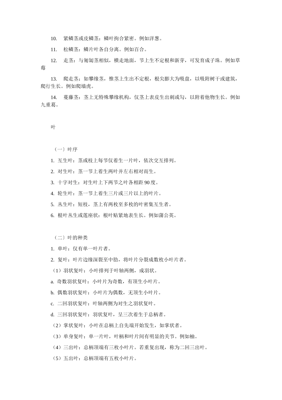 植物的营养器官_第3页