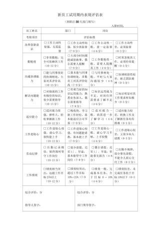 新员工试用期内表现评估表 