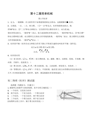 初中物理杠杆练习题  (中考)