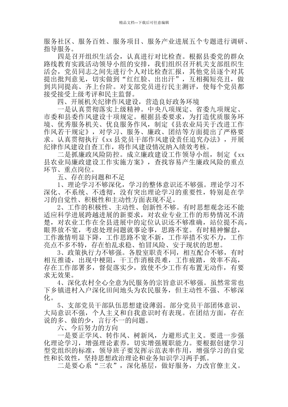 党支部书记述职报告范文2024年_第2页