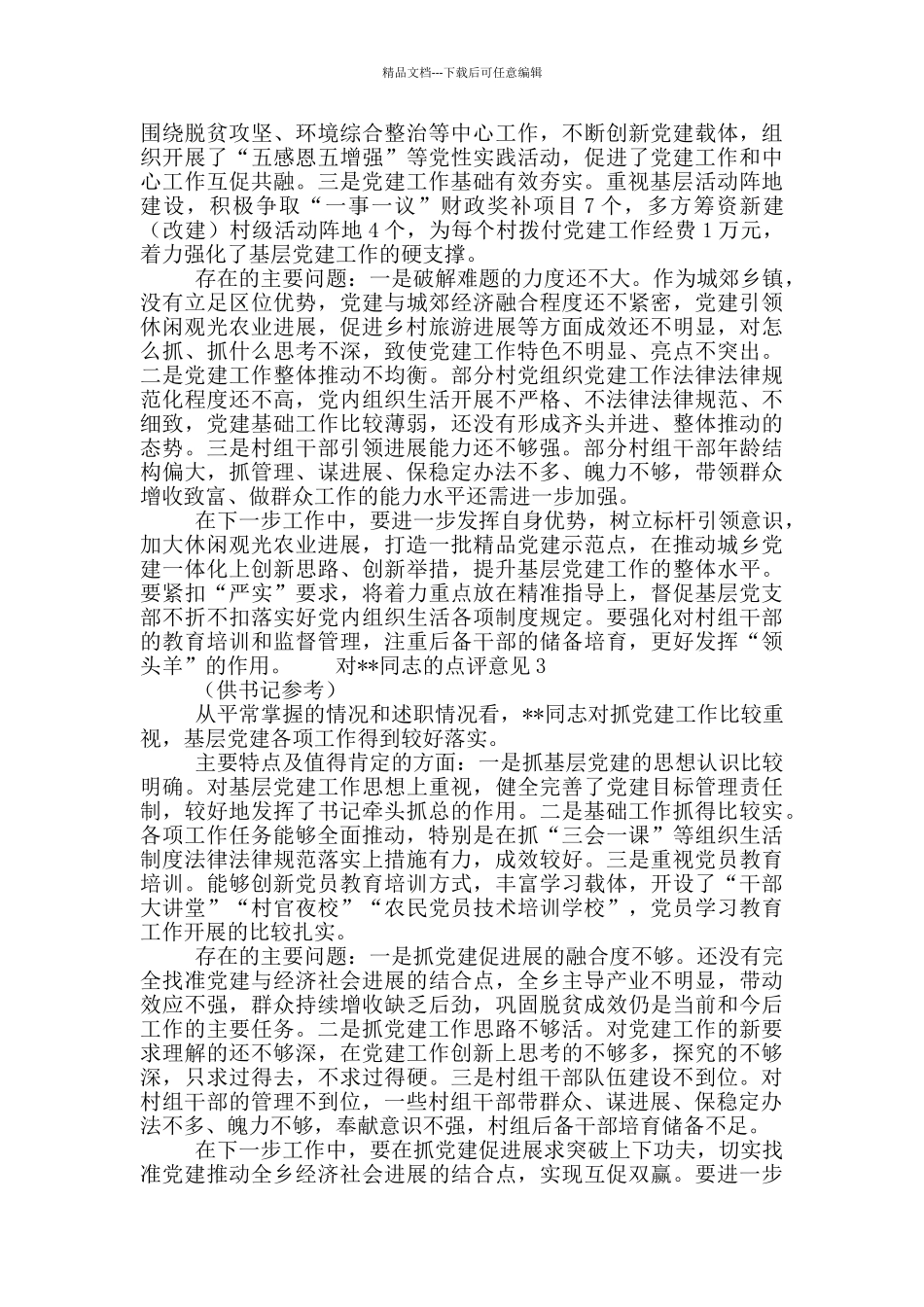 党支部书记述职评议点评意见大全6篇_第2页