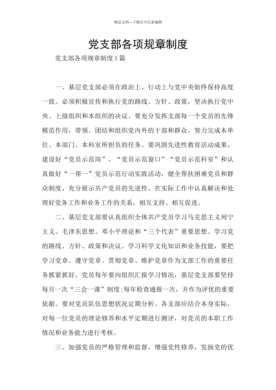 党支部各项规章制度_第1页