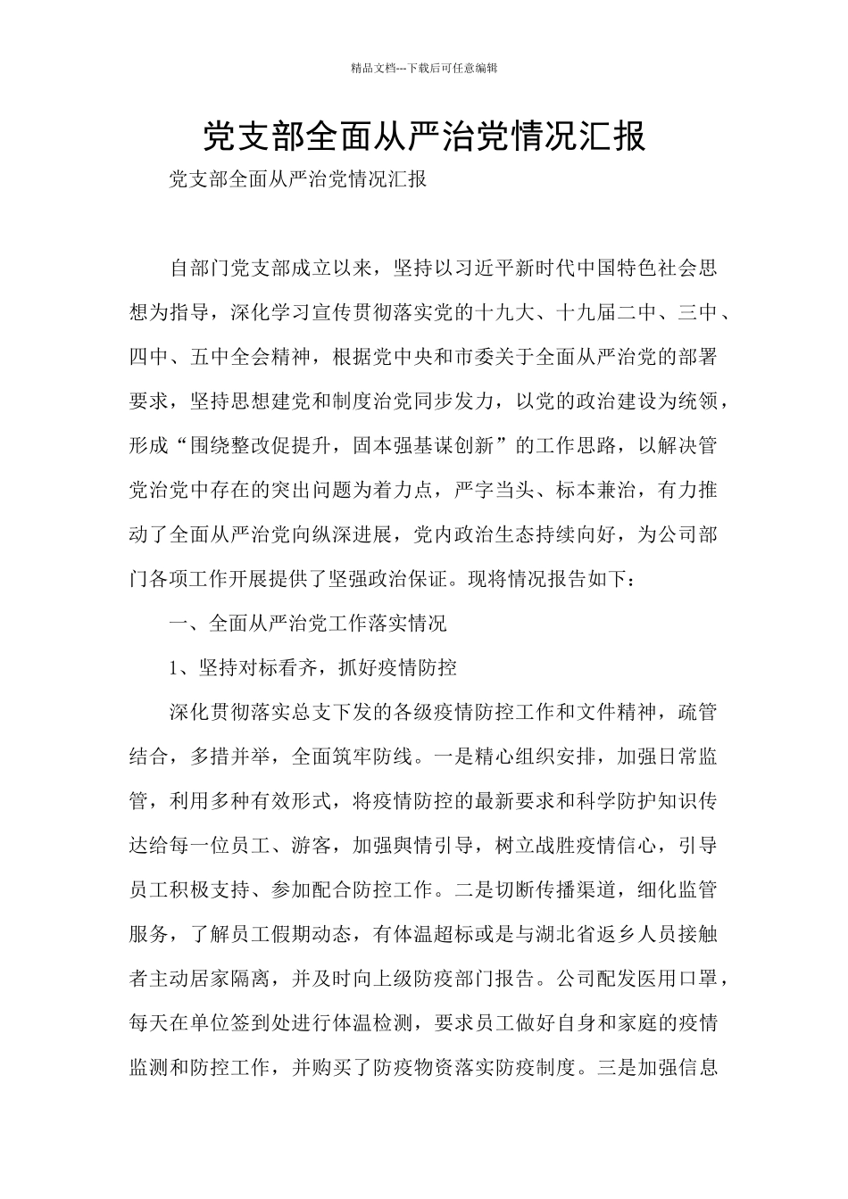 党支部全面从严治党情况汇报_第1页