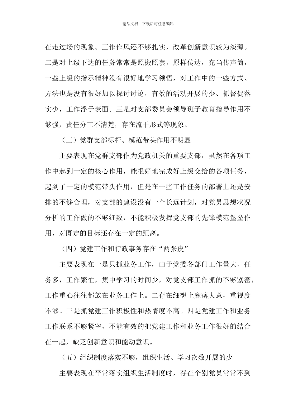 党支部委员会整改清单_第3页