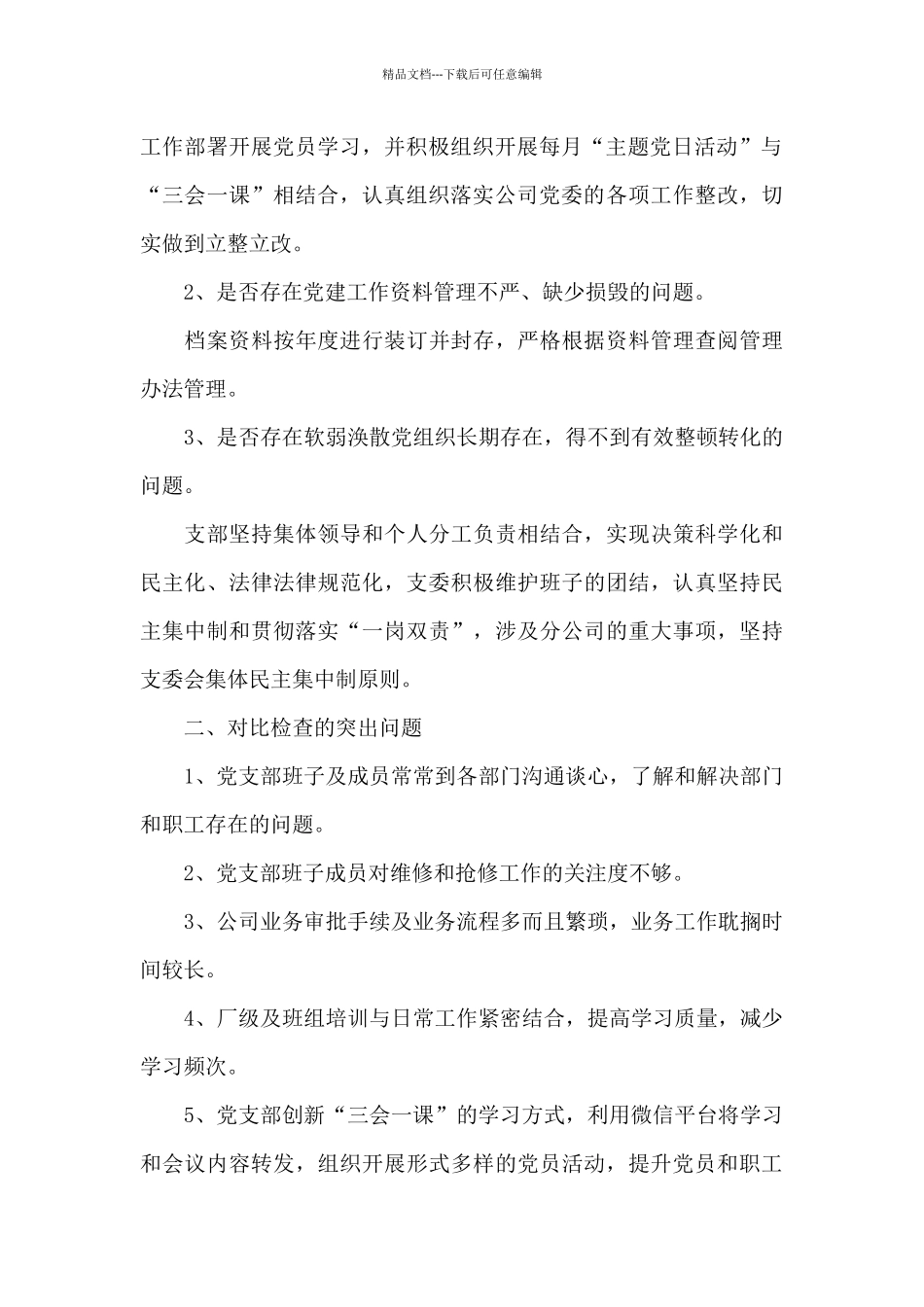 党支部对照检查_第2页