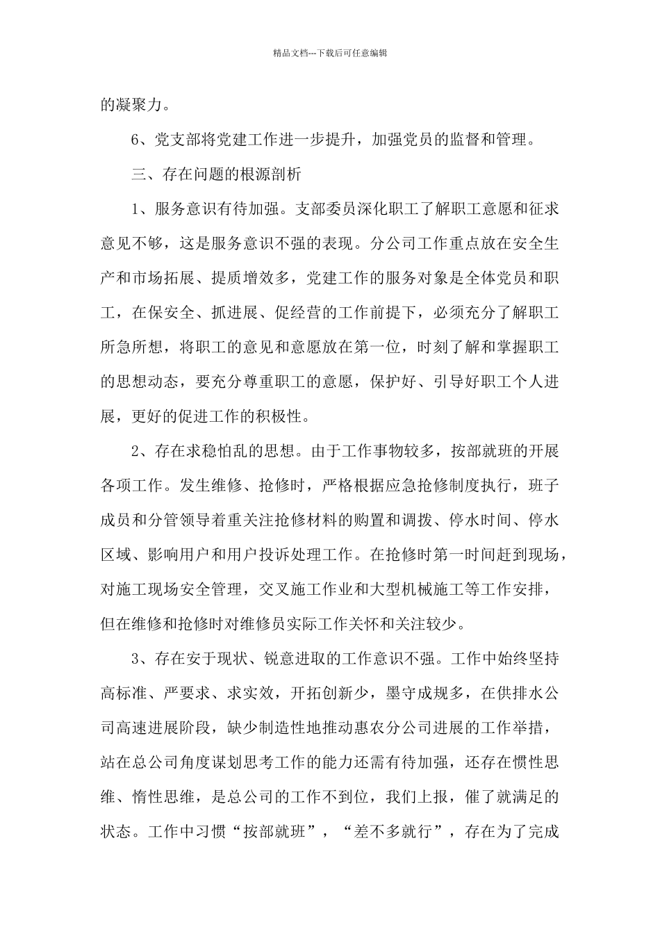 党支部对照检查_第3页