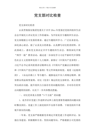 党支部对照检查