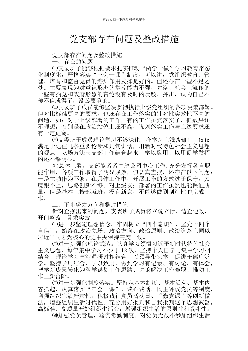 党支部存在问题及整改措施_第1页