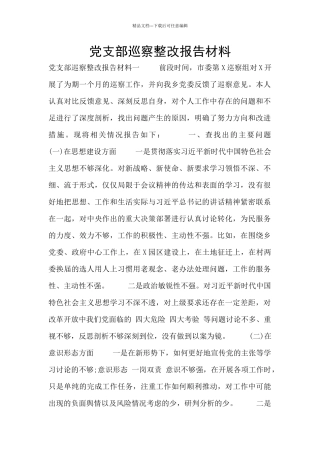 党支部巡察整改报告材料