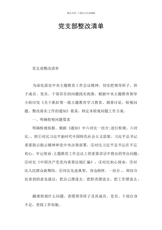 党支部整改清单