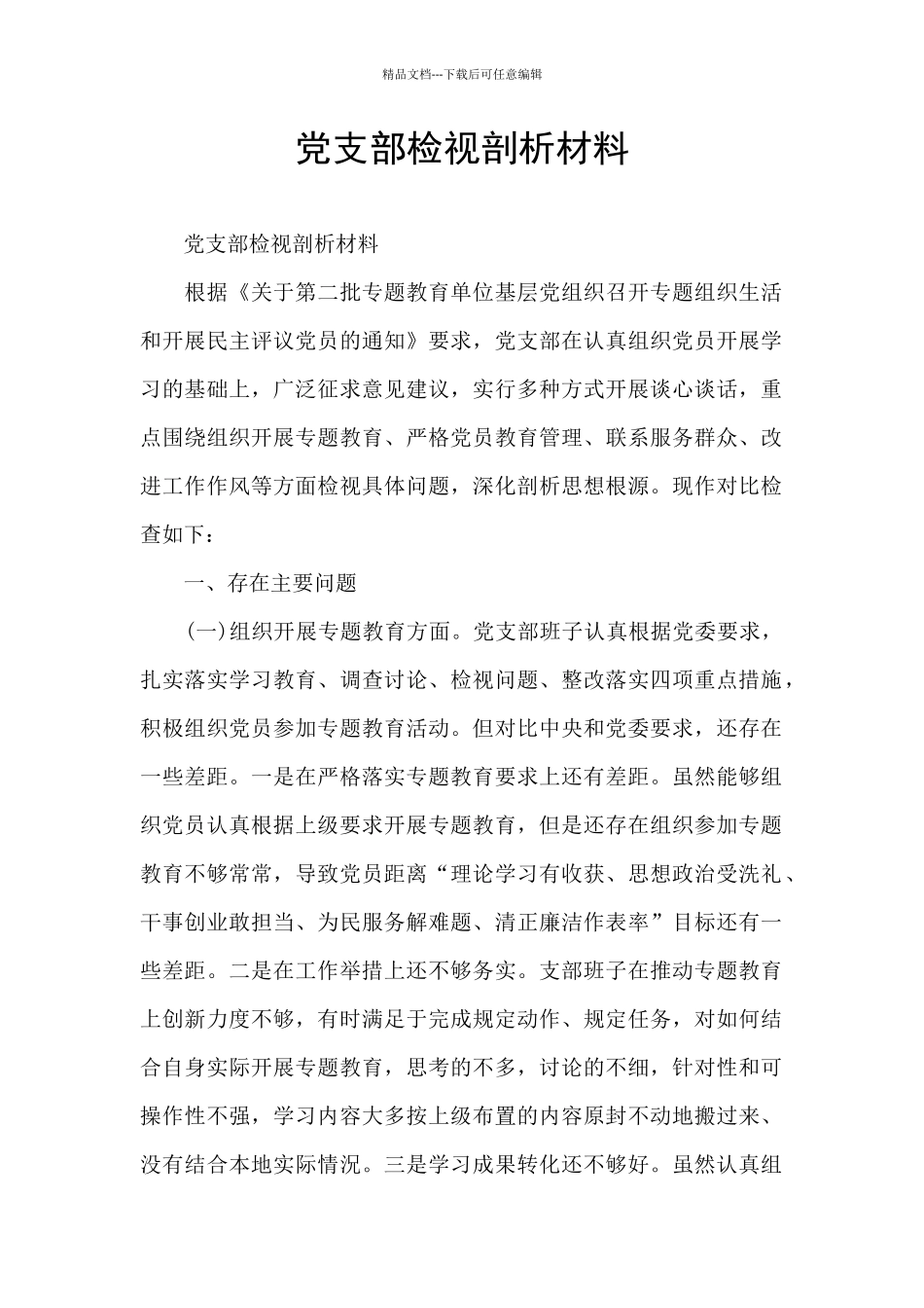 党支部检视剖析材料_第1页