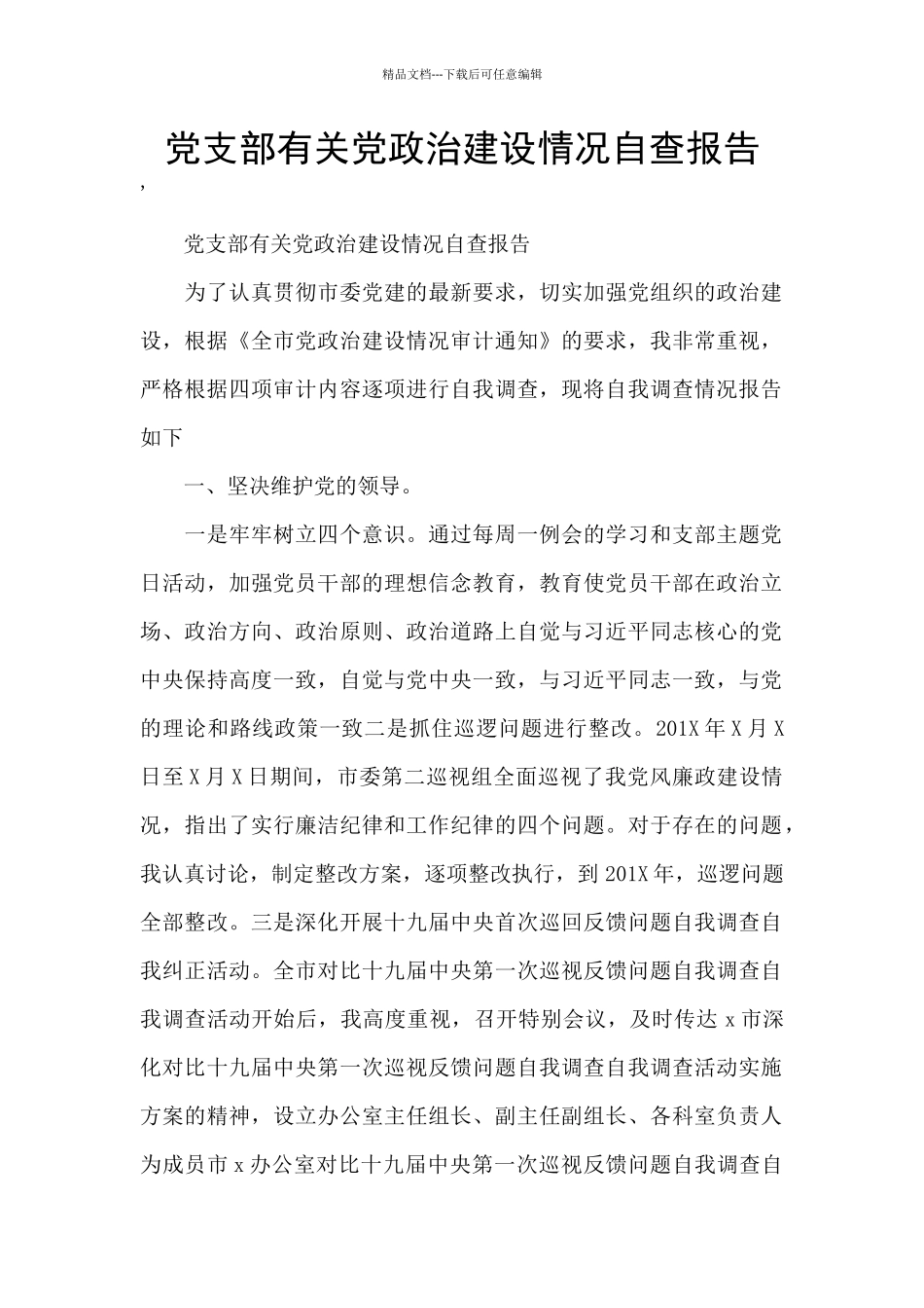 党支部有关党政治建设情况自查报告_第1页