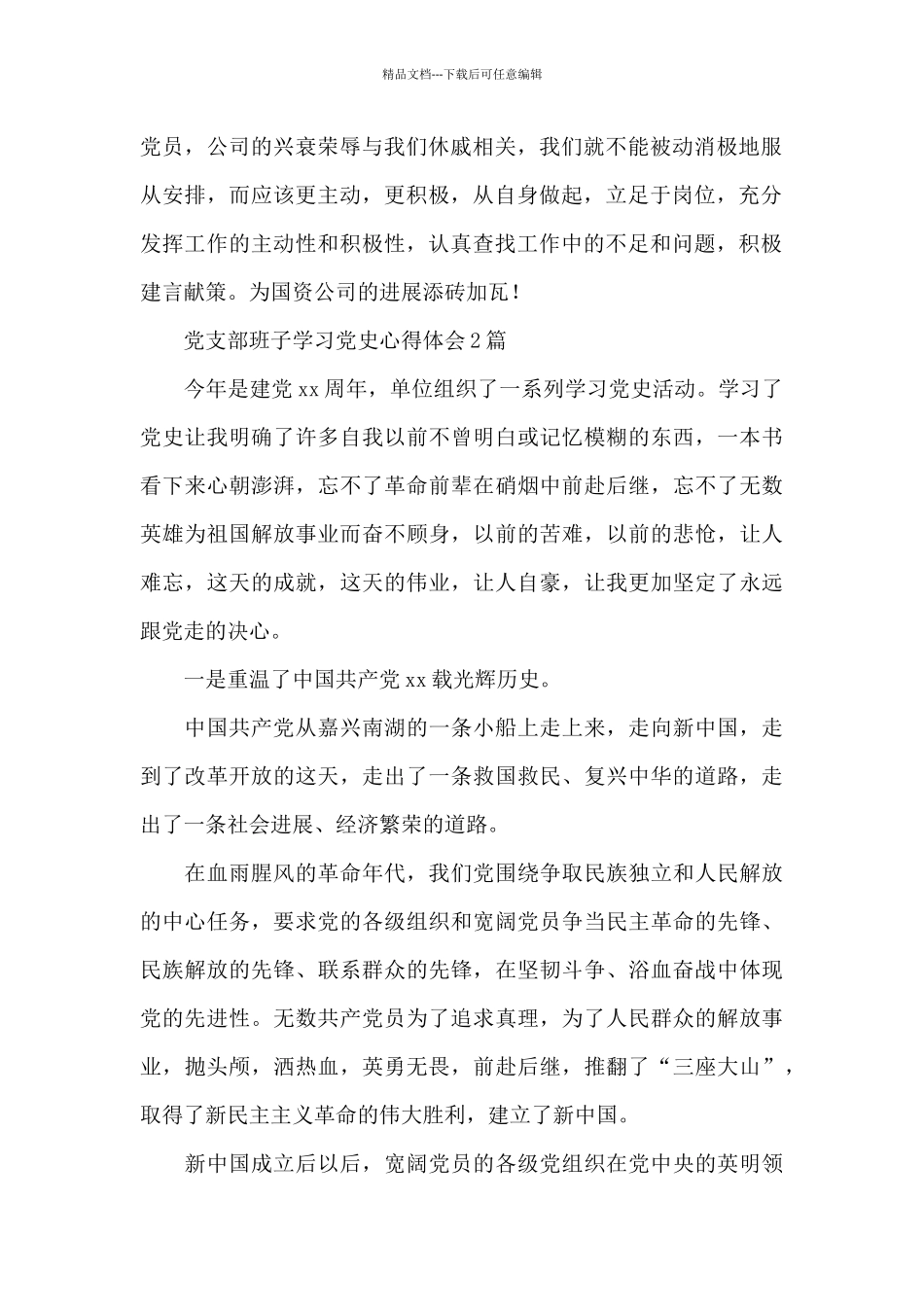 党支部班子学习党史心得体会3篇_第2页