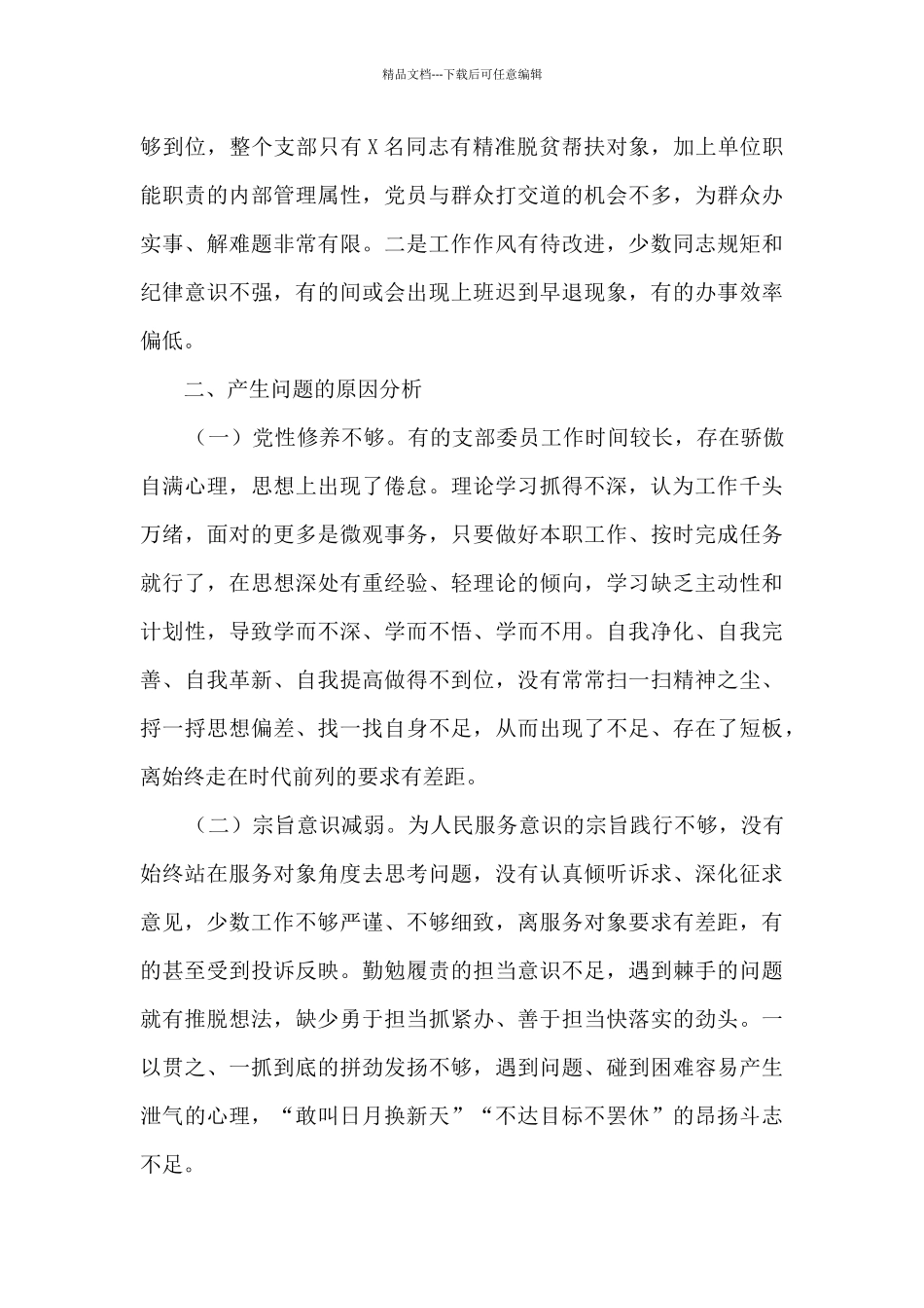 党支部班子对照检查材料10篇_第3页