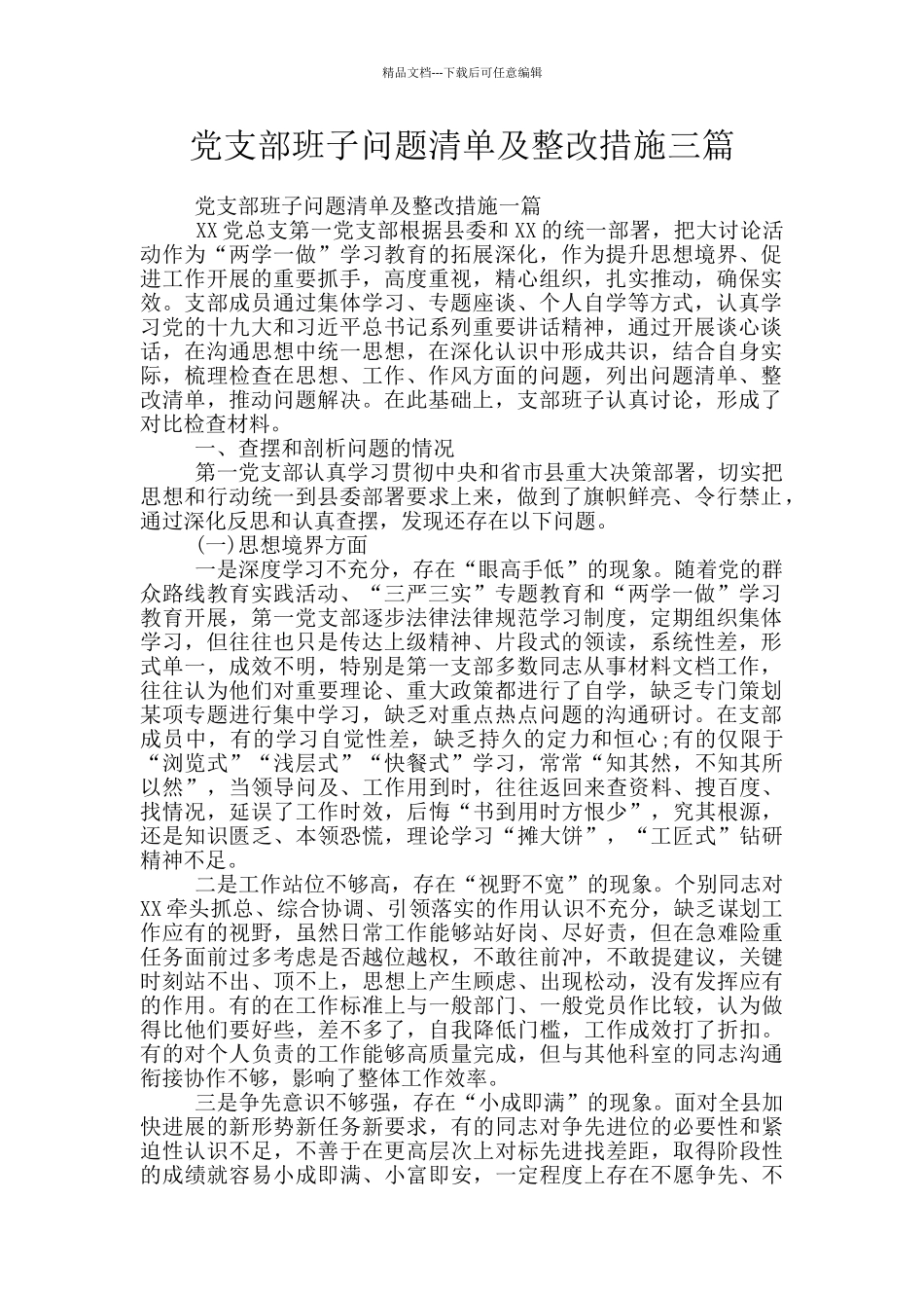 党支部班子问题清单及整改措施三篇_第1页