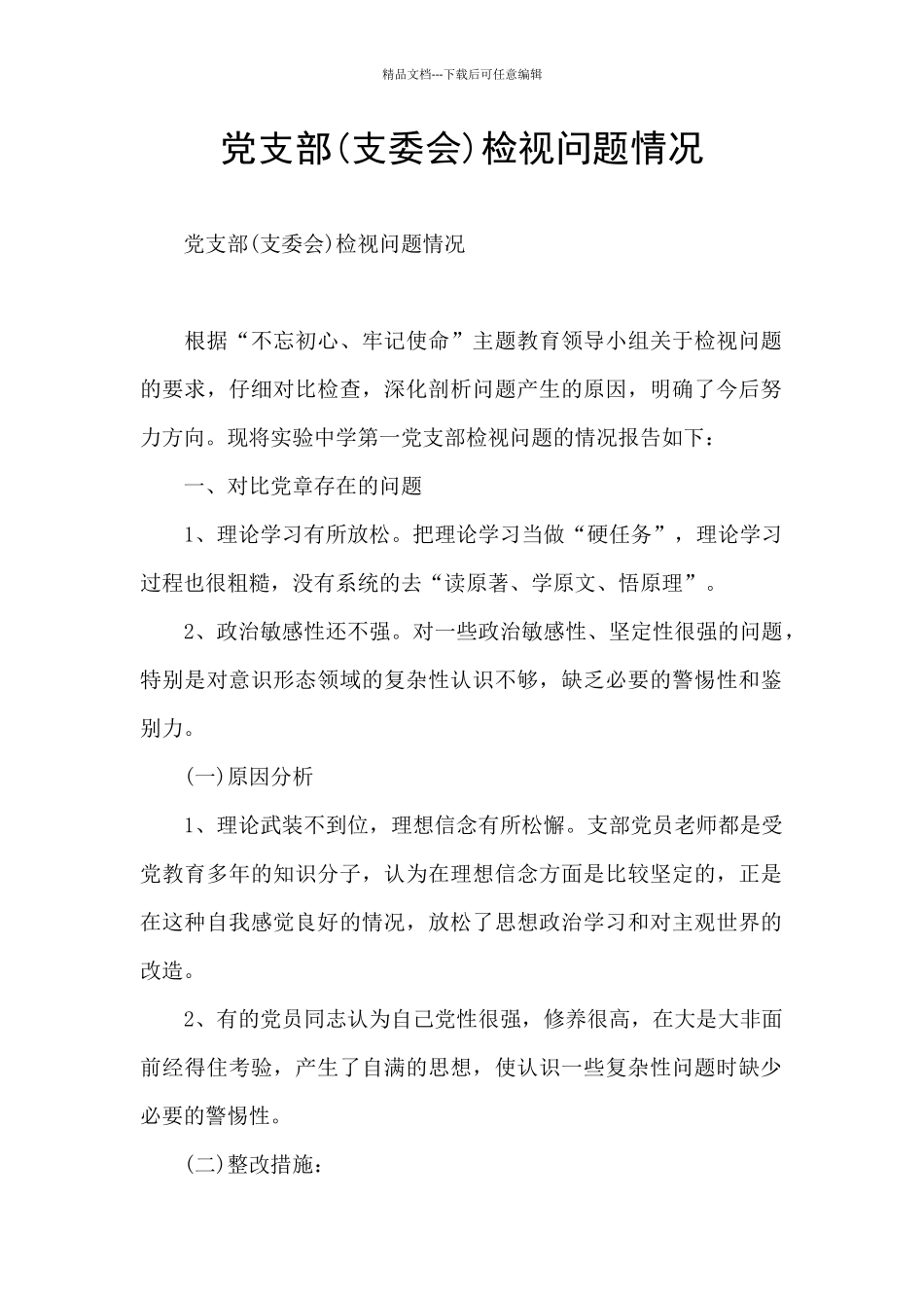 党支部检视问题情况_第1页