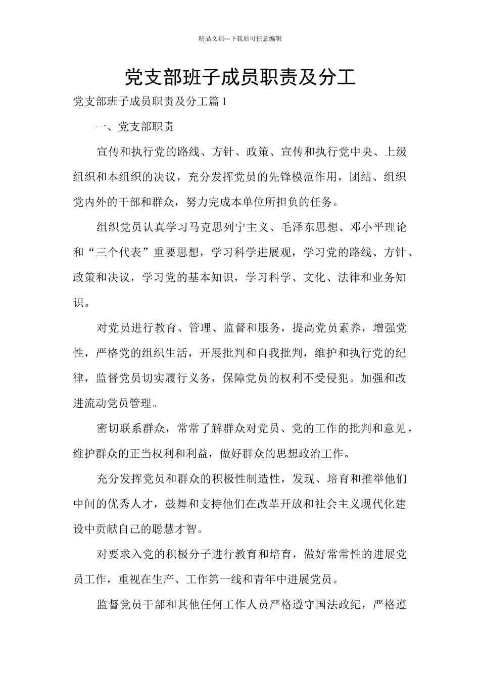 党支部班子成员职责及分工_第1页