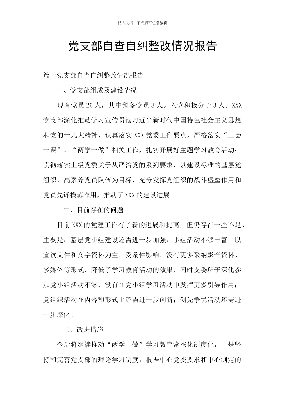 党支部自查自纠整改情况报告_第1页