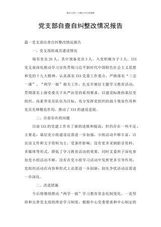 党支部自查自纠整改情况报告