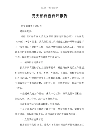 党支部自查自评报告