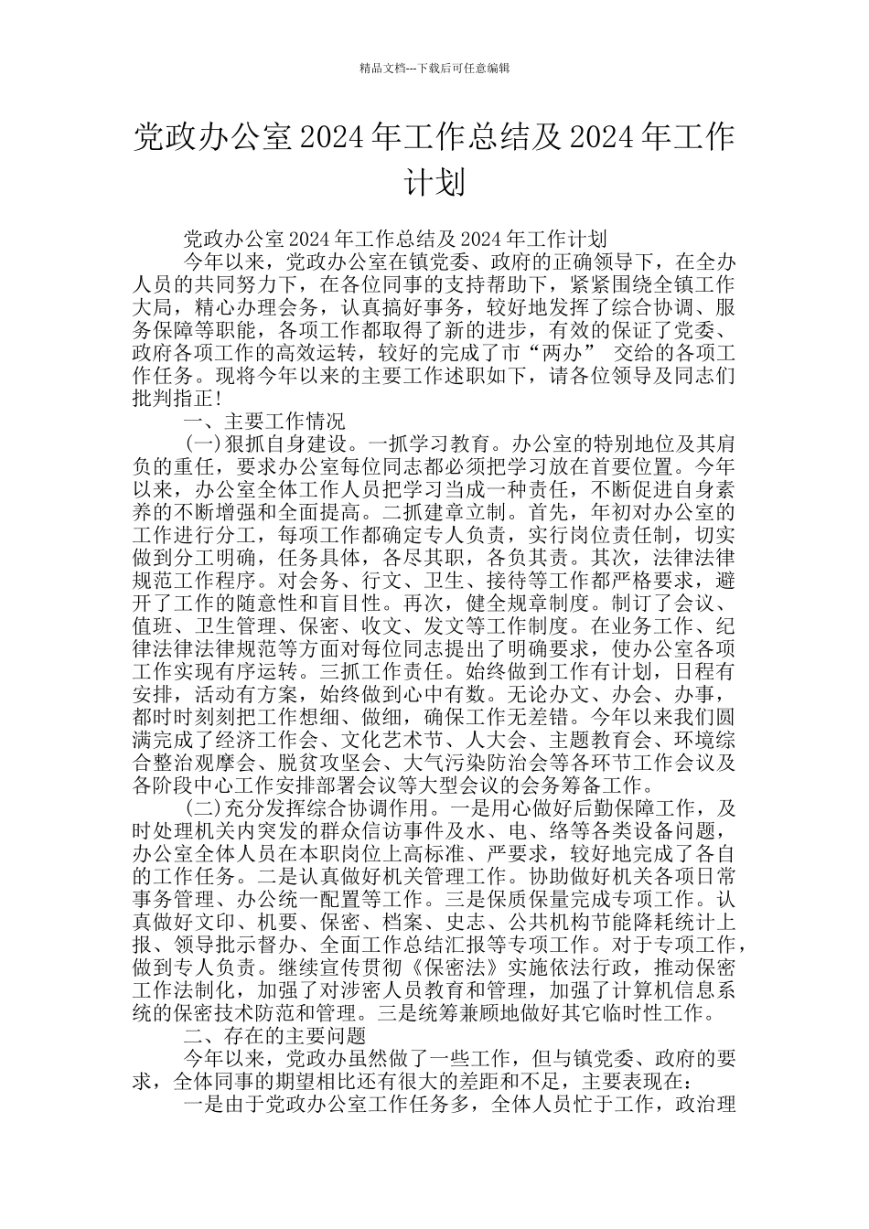 党政办公室2024年工作总结及2024年工作计划_第1页