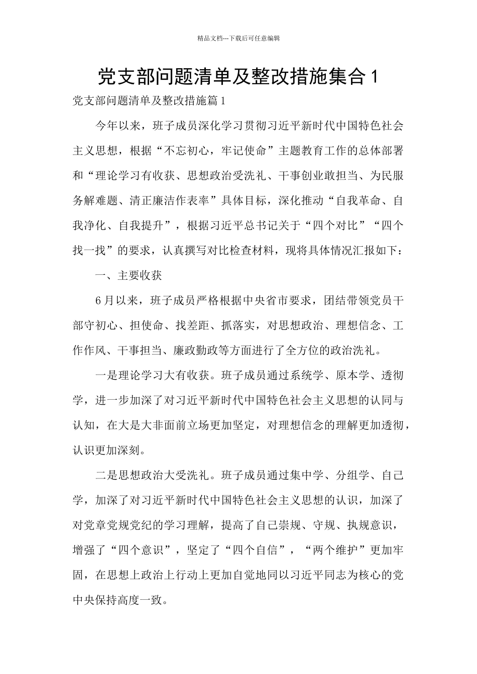 党支部问题清单及整改措施集合1_第1页