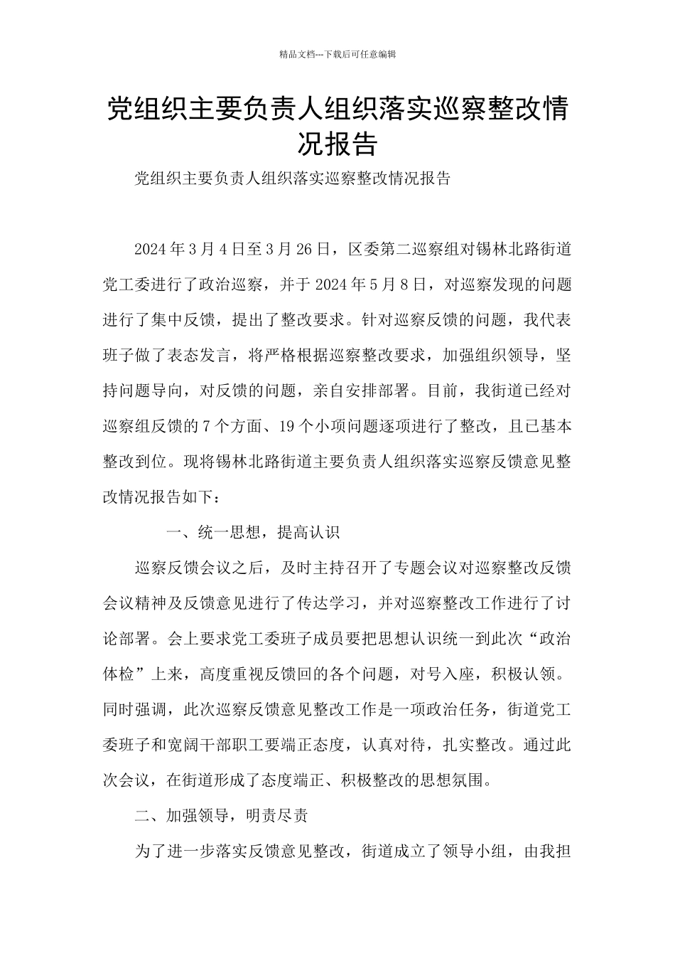 党组织主要负责人组织落实巡察整改情况报告_第1页