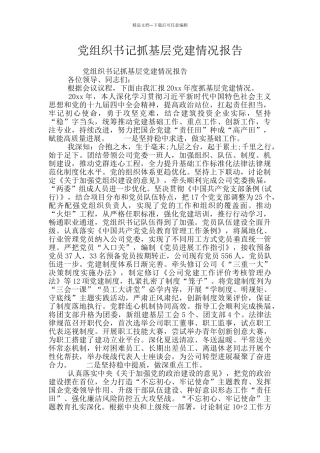 党组织书记抓基层党建情况报告