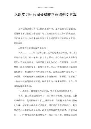 入职实习生公司长篇转正总结例文五篇
