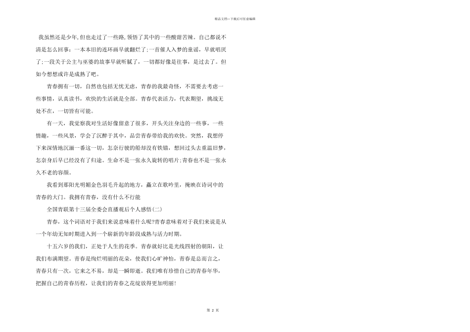 全国青联第十三届全委会观后感个人感悟_第2页