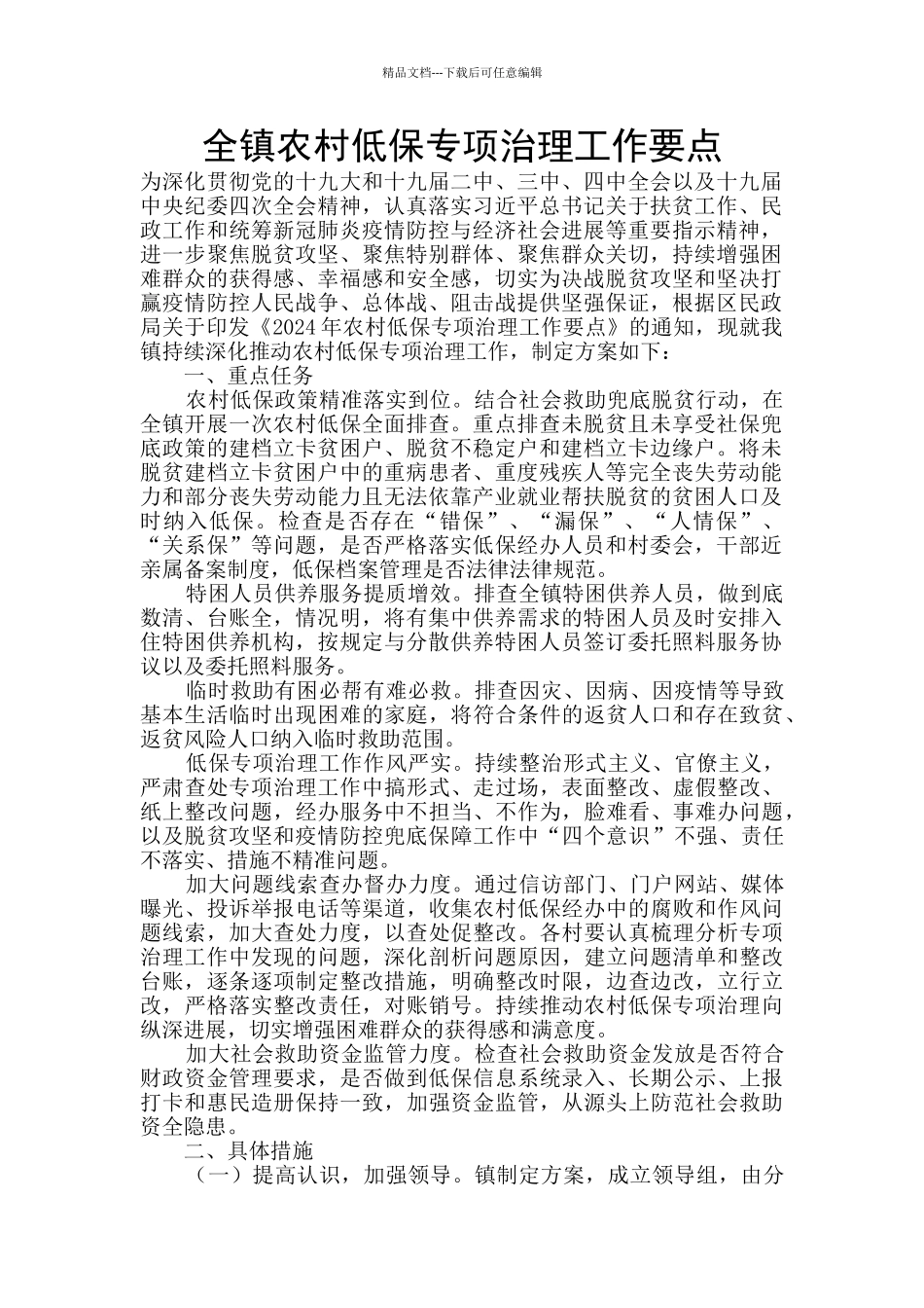 全镇农村低保专项治理工作要点_第1页