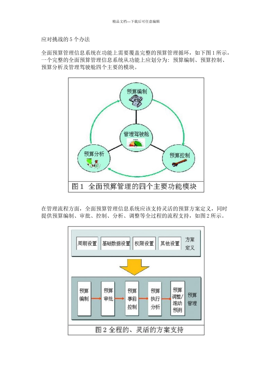全面预算管理系统分析_第3页