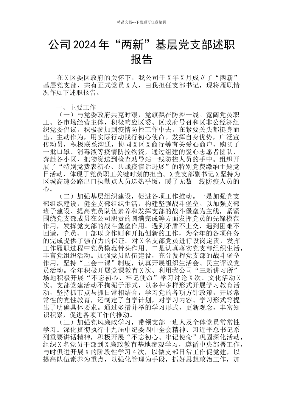 公司2024年“两新”基层党支部述职报告_第1页