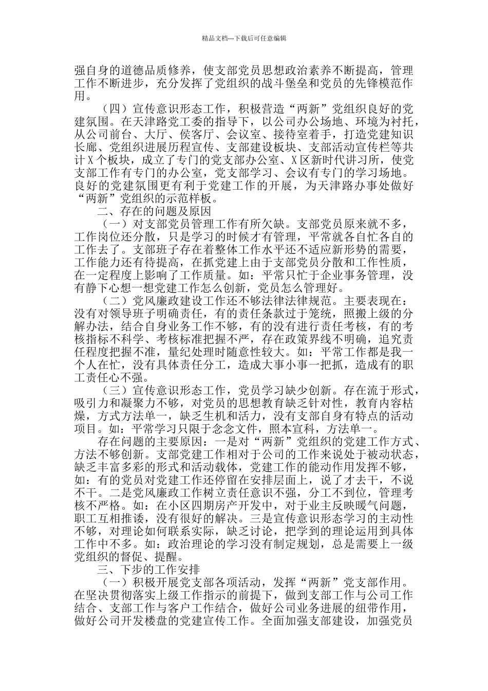 公司2024年“两新”基层党支部述职报告_第2页