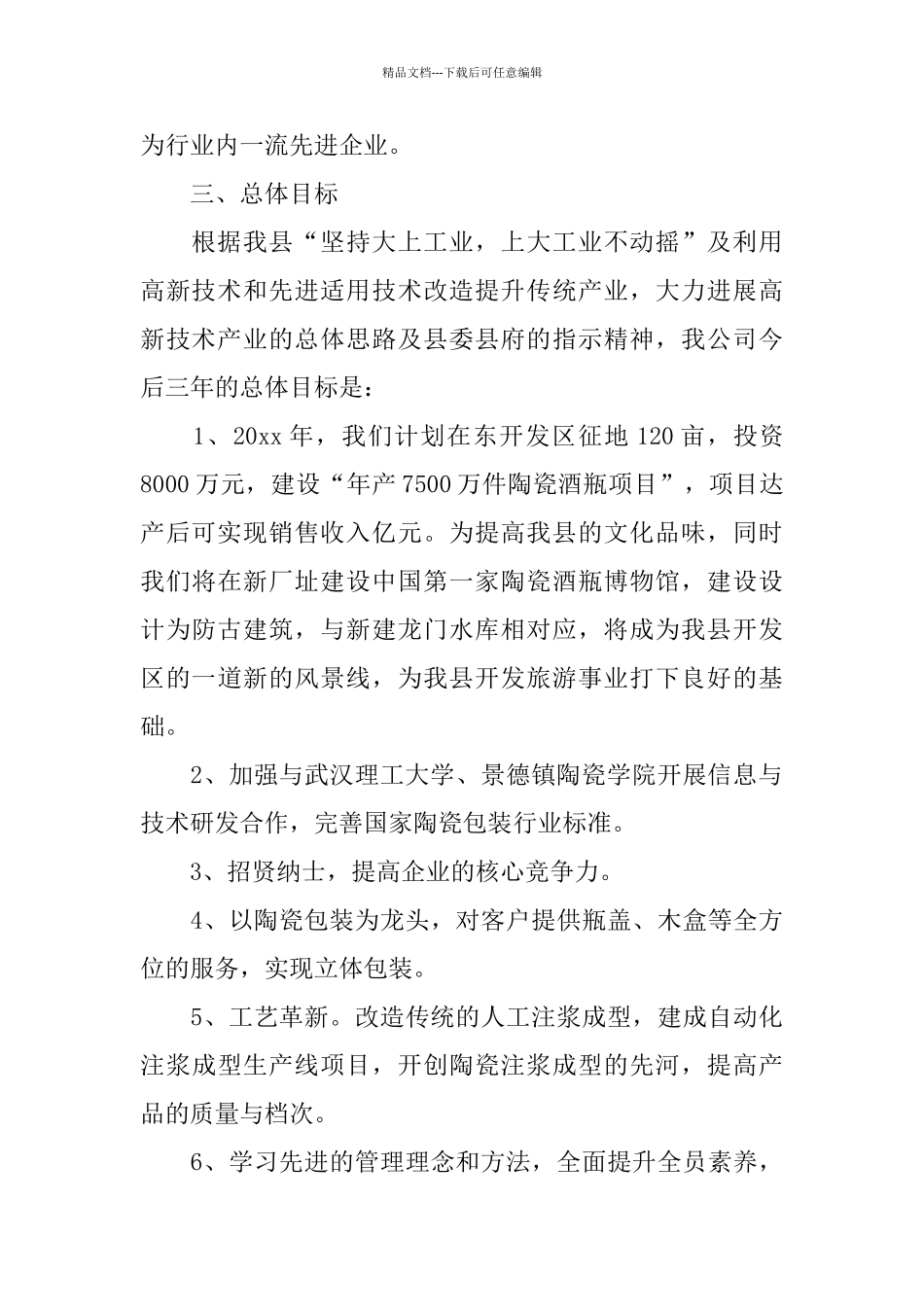 公司三年规划范文_第2页