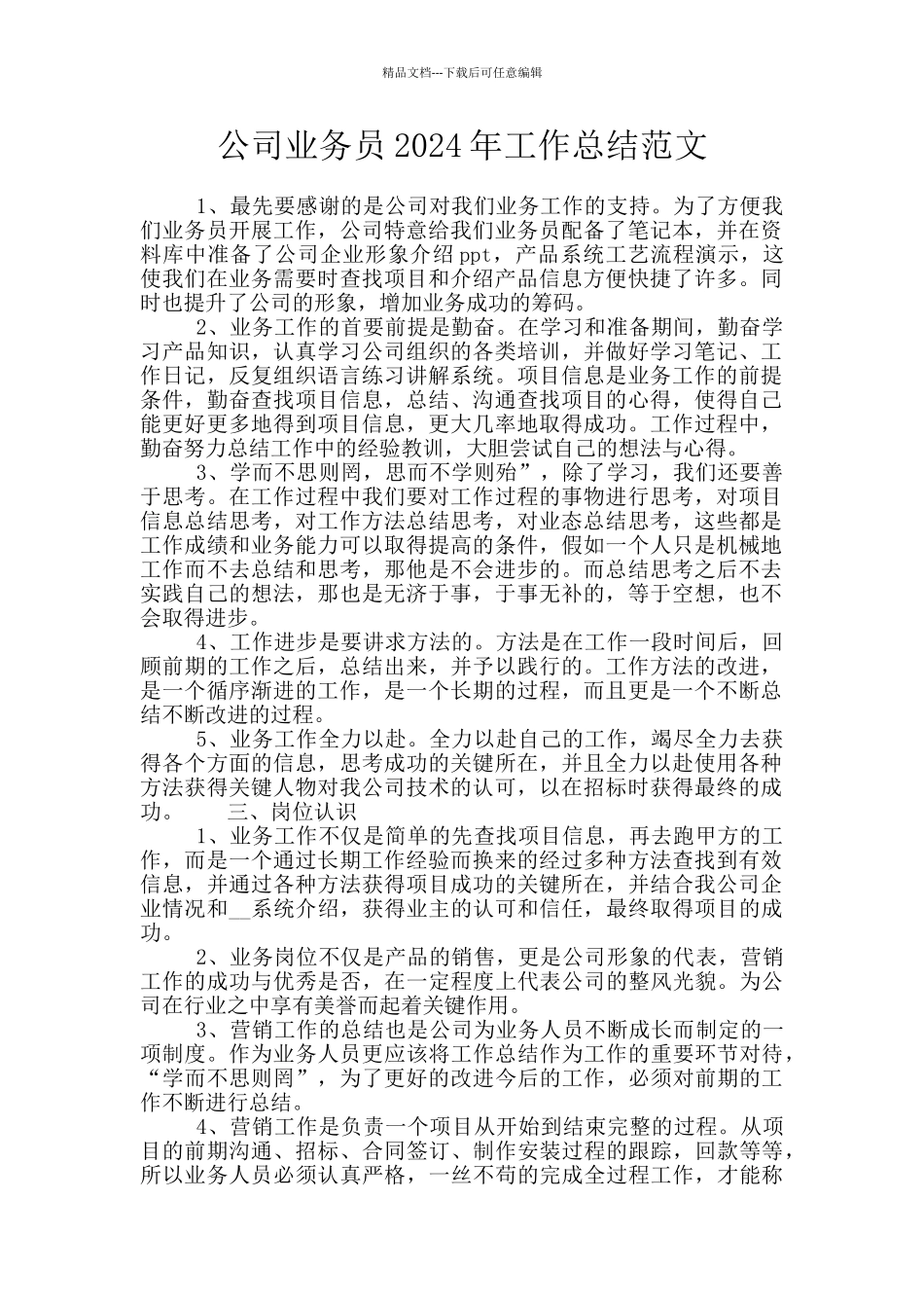 公司业务员2024年工作总结范文_第1页