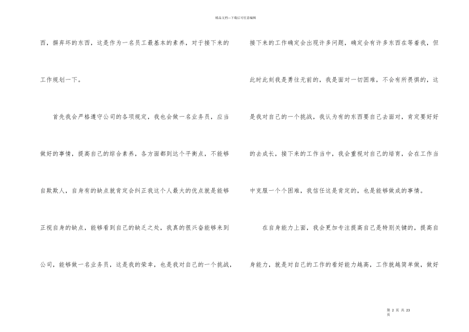公司业务员个人工作计划7篇_第2页