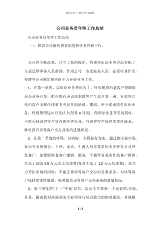 公司业务员年终工作总结