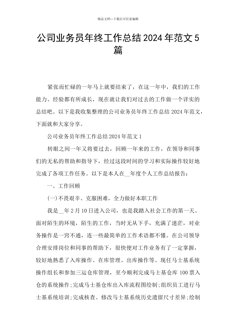 公司业务员年终工作总结2024年范文5篇_第1页