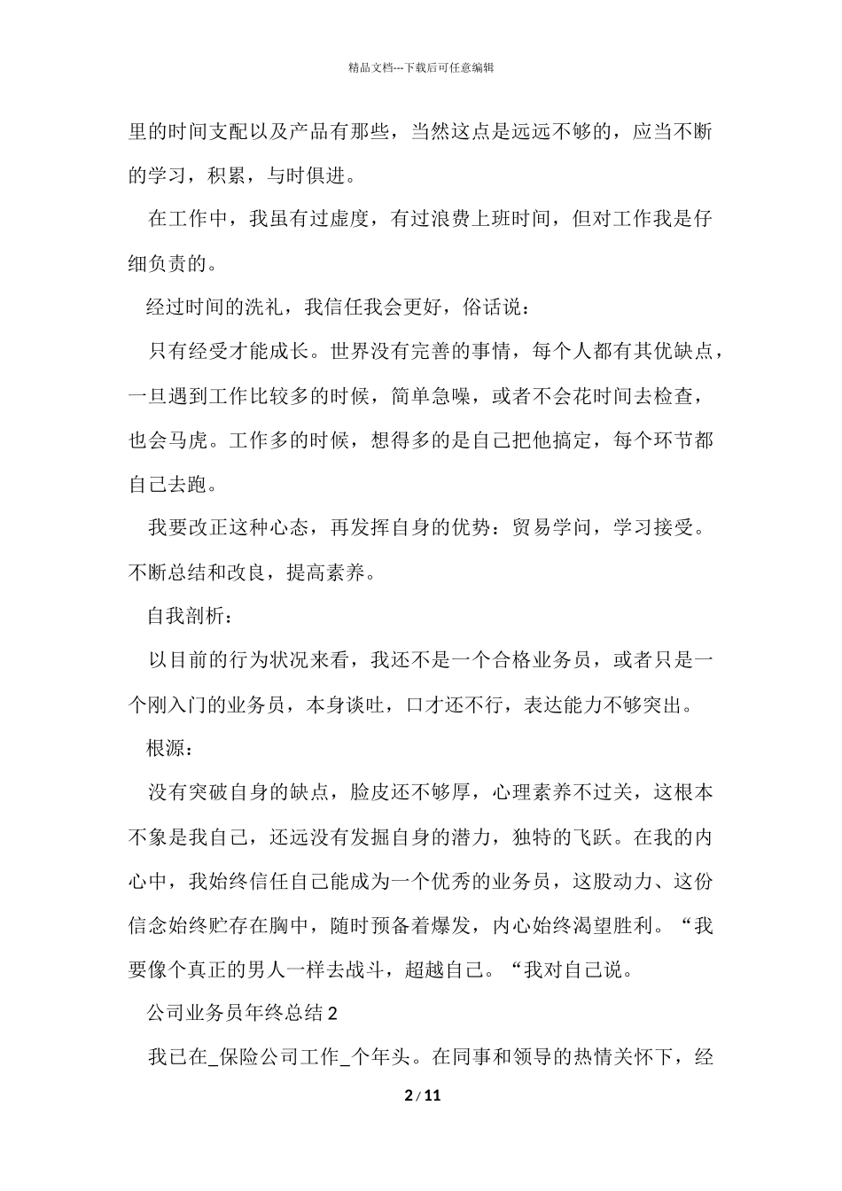 公司业务员年终总结5篇_第2页