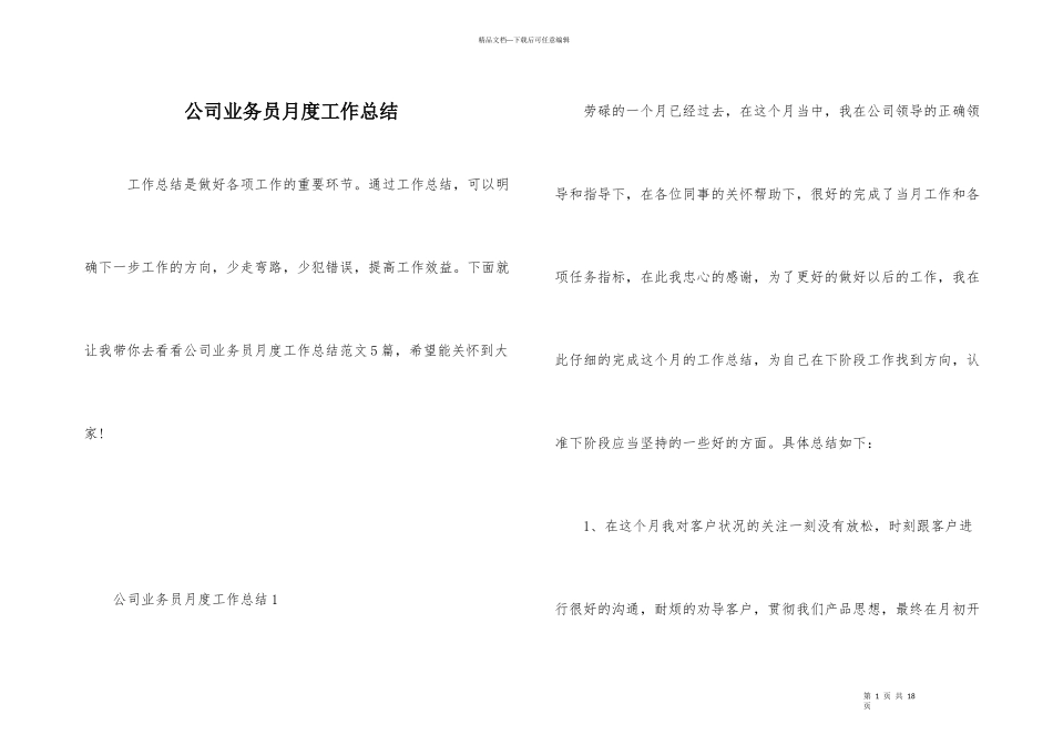 公司业务员月度工作总结_第1页