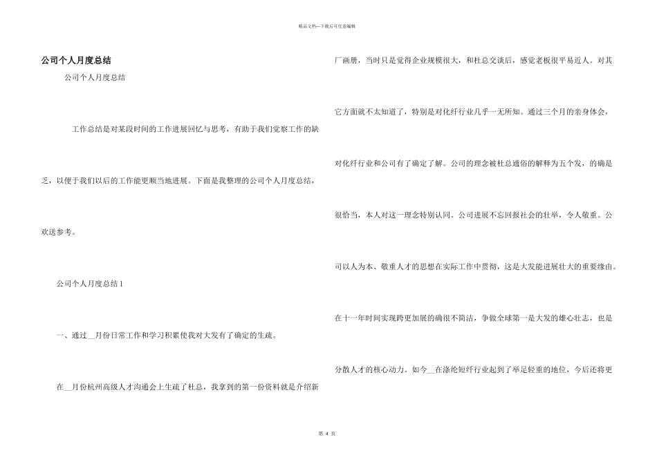 公司个人月度总结_第1页