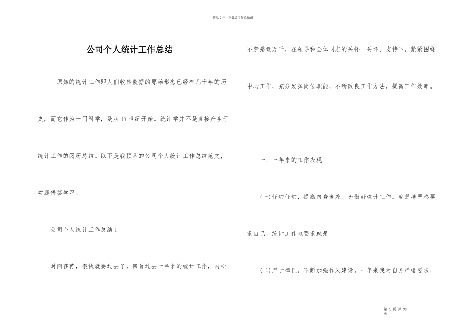 公司个人统计工作总结_第1页